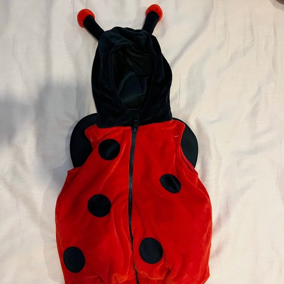 Over 123 Pieces of Baby Girls’ Clothing (sizes 3-6M up to 12-18M) - Picture 10 of 11